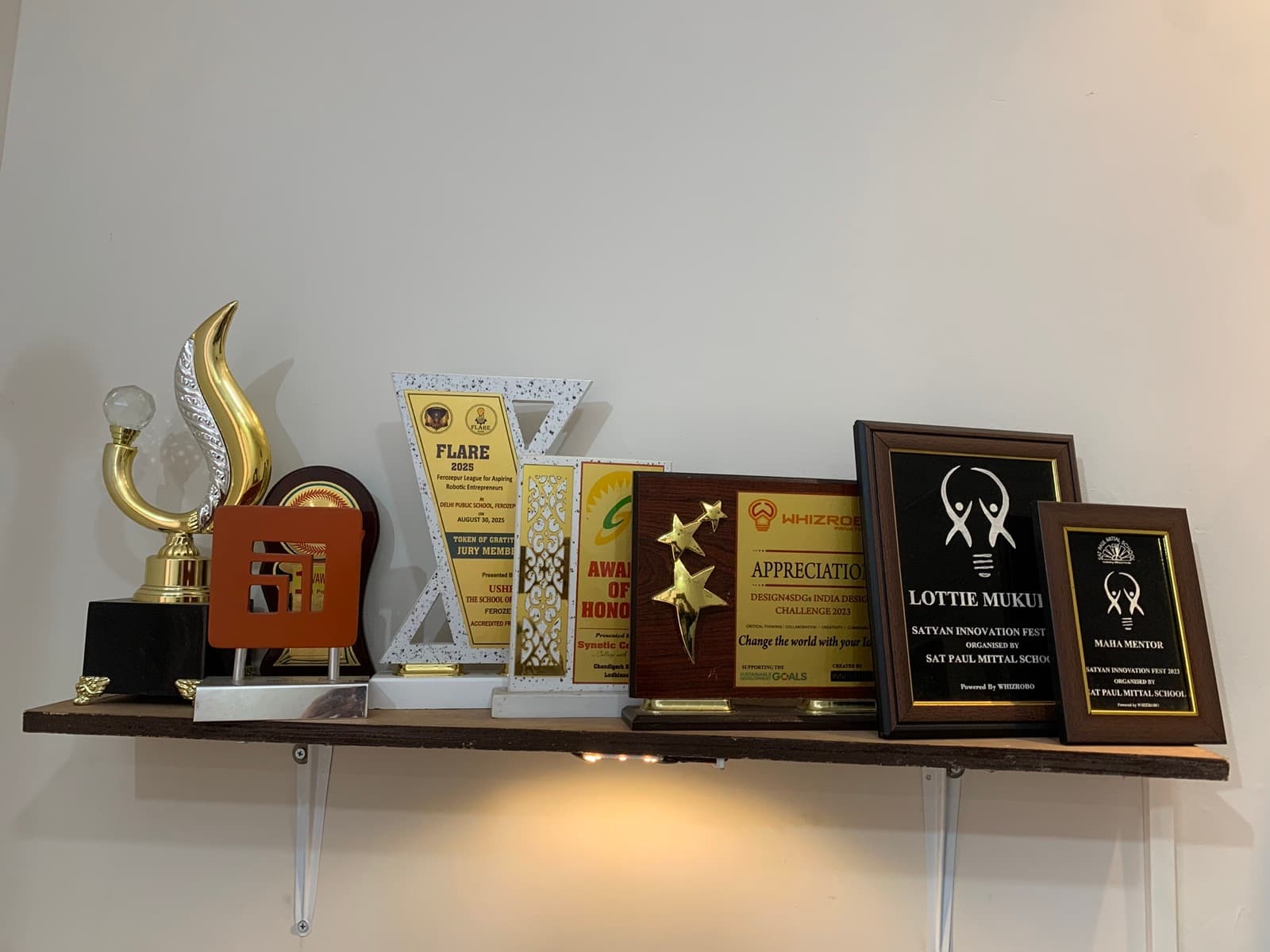 Awards and recognition earned by ZeroAI's founder